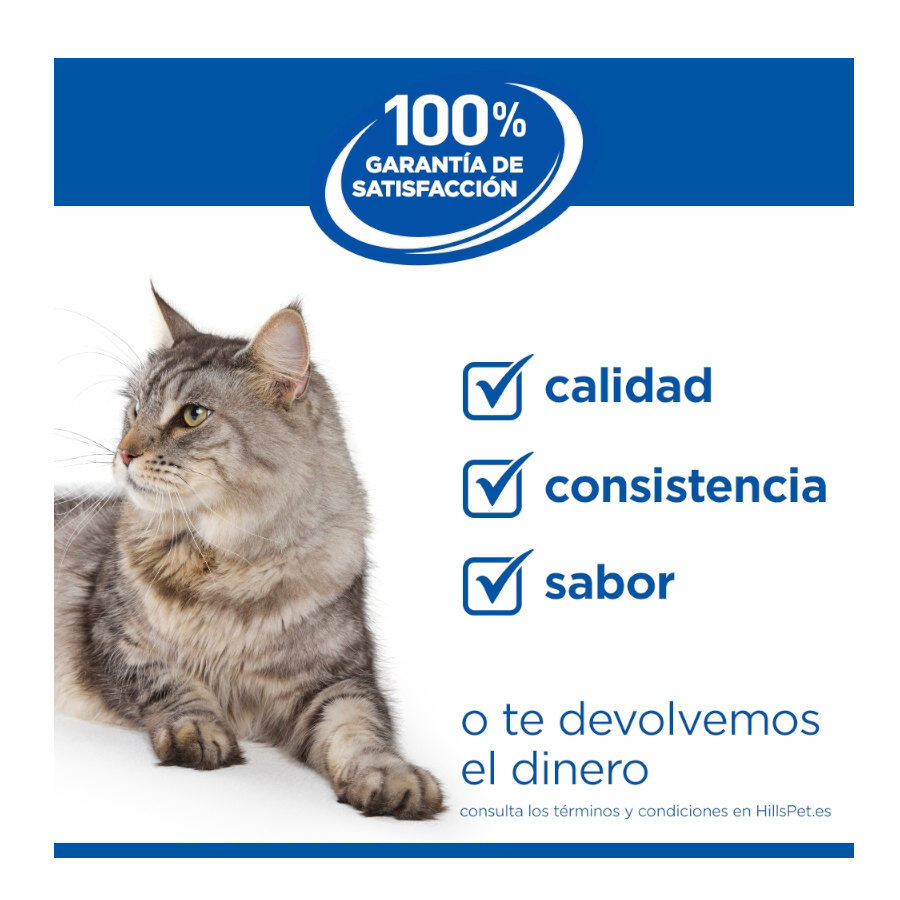 85 g Hill's Science Plan Sterilized Young Adult Pollo sobre para gatos, , large Imagen numero 9