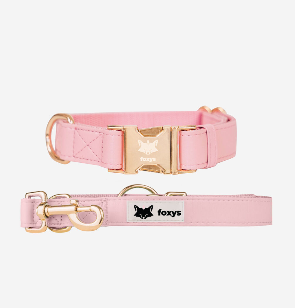 CityFox&trade; Kit Collar y Correa | Rosa, , large Imagen numero 1
