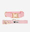 CityFox™ Kit Collar y Correa | Rosa, , large indicador imagen numero 1