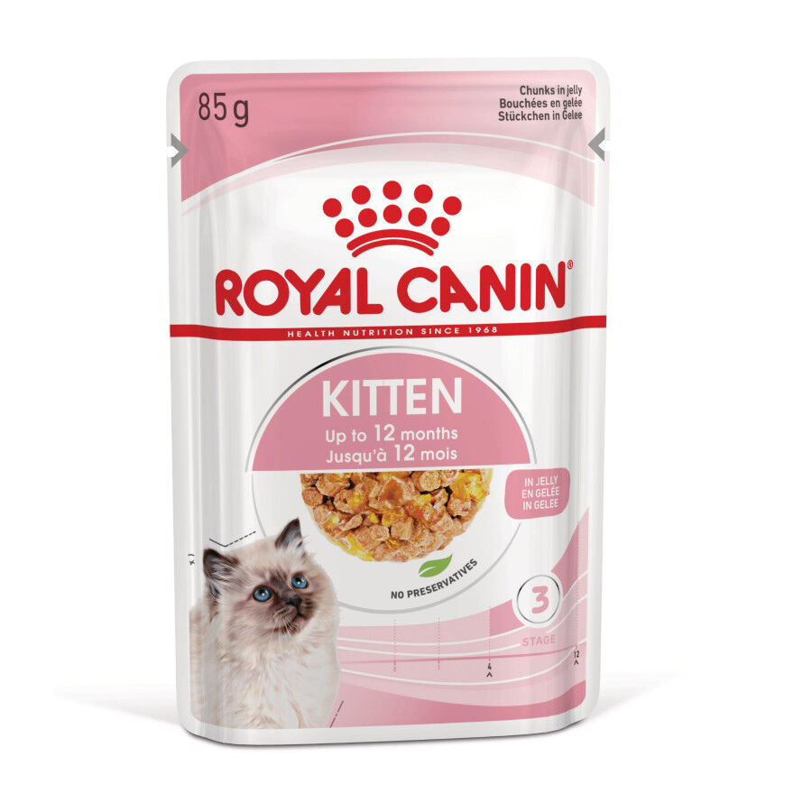 Royal Canin Kitten comida húmeda en gelatina sobre para gatitos thumbnail