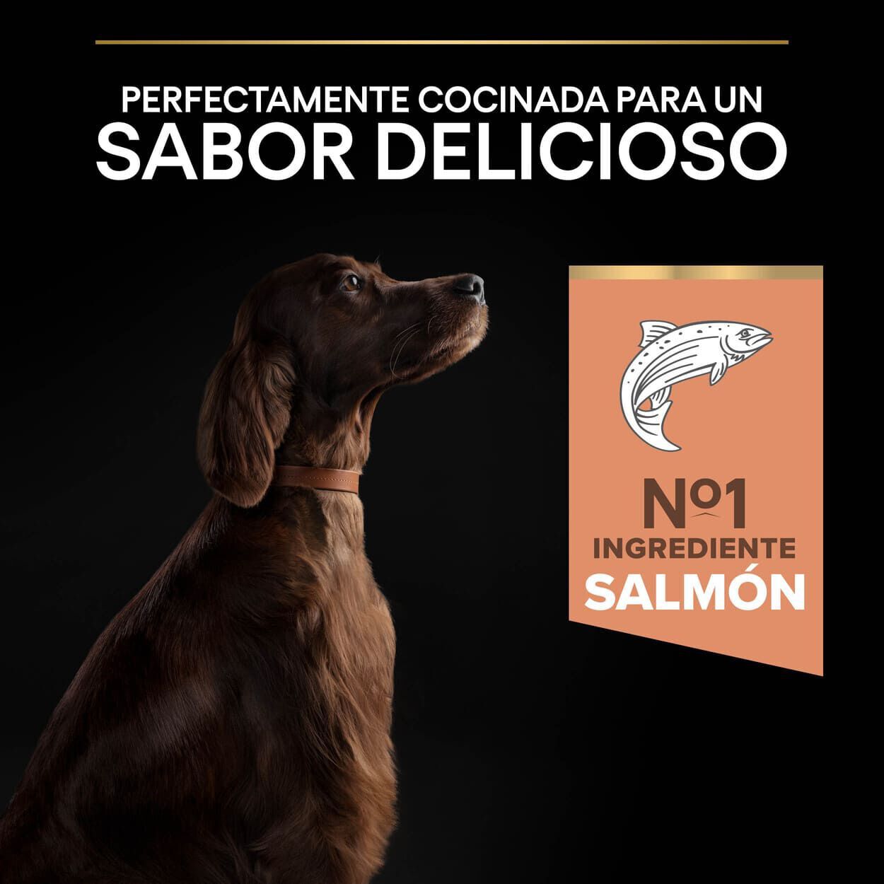 Pro Plan Large Athletic Adult Salmón piel sensible pienso para perros thumbnail