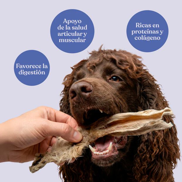 dr. bimix Oreja de Conejo con Pelo para Perros 200g, , large Imagen numero 2