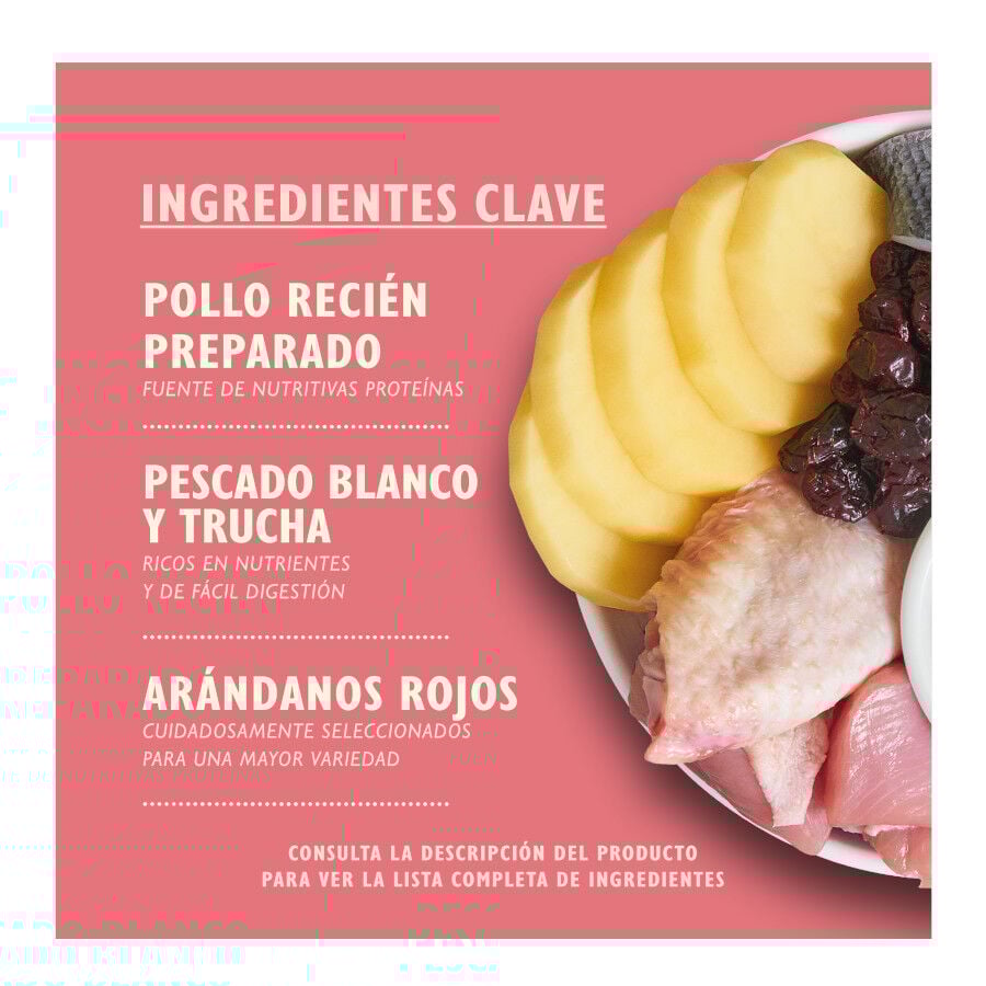 Lily&#039;s Kitchen Kitten Pollo pienso para gatos thumbnail