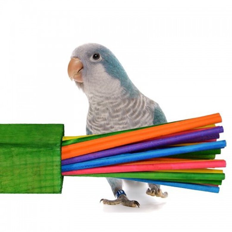 Taco Paper party para loros color Variado, , large image number null