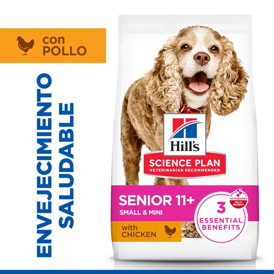 1.5 kg Hill's Science Plan Senior 11+ Small y Mini pollo pienso para perros, , large Imagen numero 2