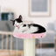 Nobleza - Juguete rascador para Gatos, Tipo Columna con Pelotas. Color Rosa, Alto 28cm., , large indicador imagen numero 4