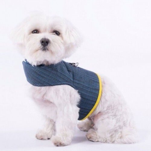 Arn&eacute;s para perros Groc Groc Yuki color azul, , large Imagen numero 1