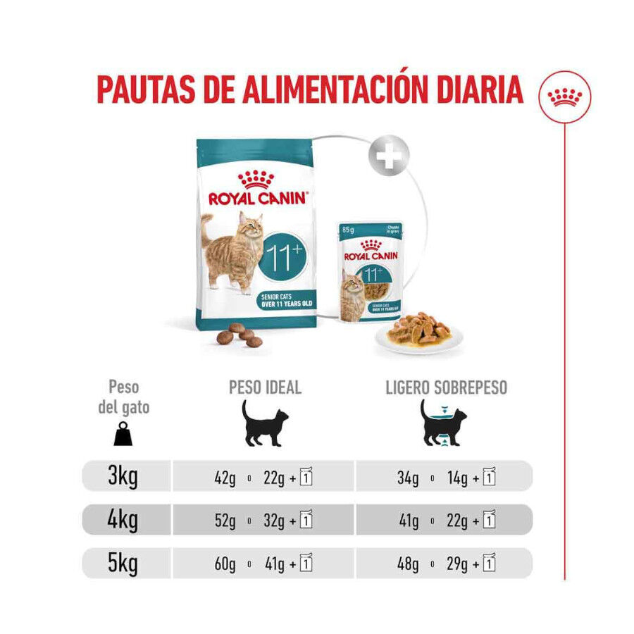 4 kg Royal Canin Ageing 11+ pienso para gatos, , large Imagen numero 9