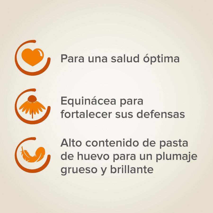 Beaphar XtraVital Premium Mixtura de Semillas para pájaros exóticos thumbnail