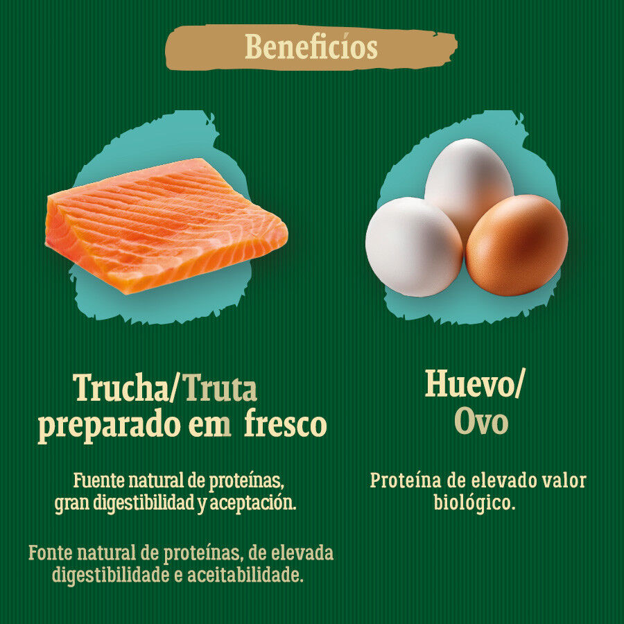 True Origins Wild Ocean River Salmón y Trucha pienso para gatitos thumbnail