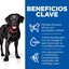 Hill's Science Plan Perfect weight y Active Mobility pollo pienso para perros grandes, , large indicador imagen numero 4