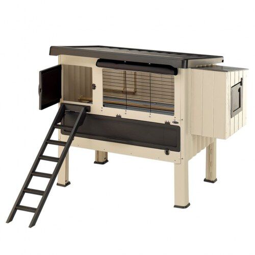 Gallinero de plástico con escalera de acceso