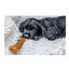 Nylabone Chew Pollo Hueso Mordedor para cachorros, , large indicador imagen numero 5