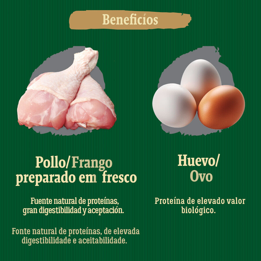 True Origins Wild Light Pollo pienso para perros thumbnail