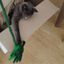 Juguete cangrejo para gato de fieltro de lana artesanal Grace, , large indicador imagen numero 4