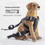 BABYAUTOPETS. Travel Fix arnés seguridad en viaje para perros. Talla S, , large indicador imagen numero 2
