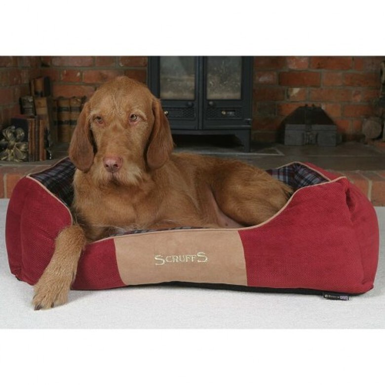 Cuna Highland para mascota color Rojo, , large image number null