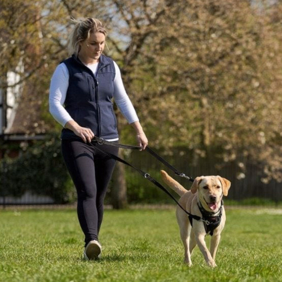 Halti Arnés antitirones negro para perros thumbnail