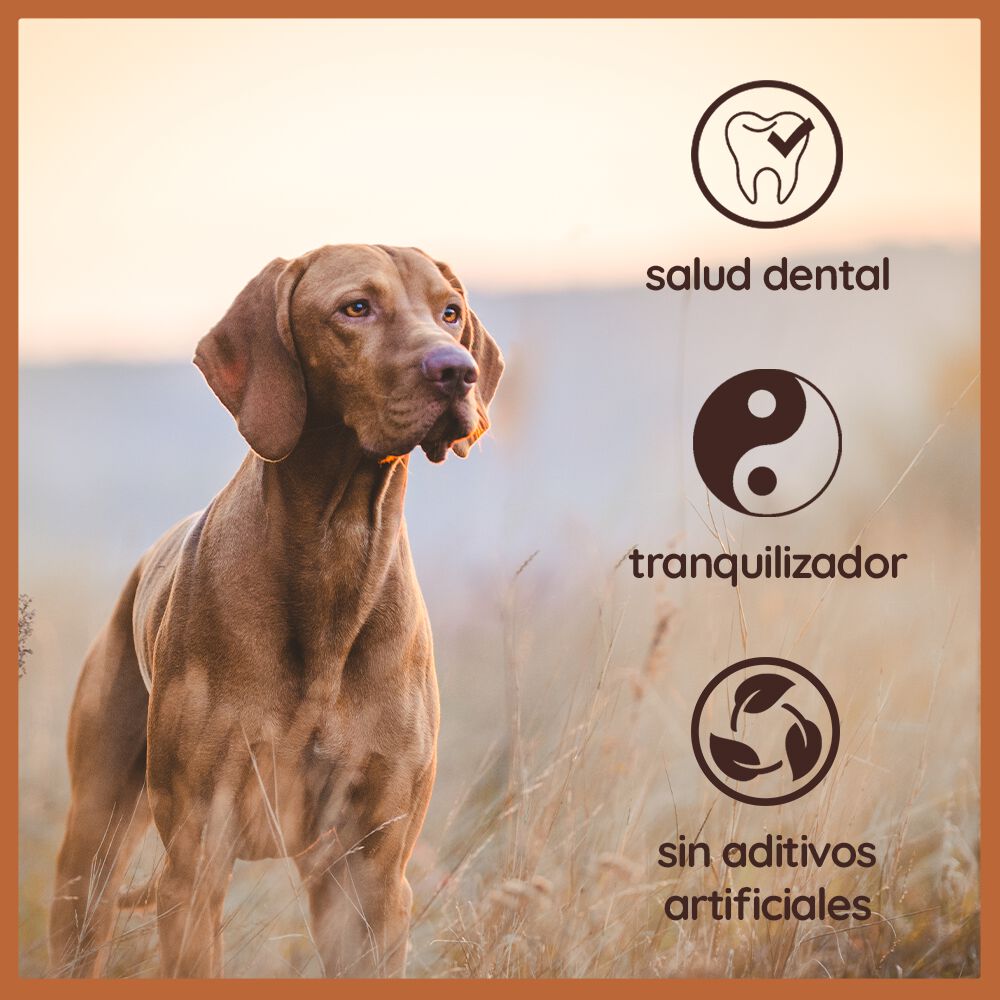 WILDFANG&reg; - Ra&iacute;z masticable de brezo para perros, , large Imagen numero 3