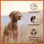 WILDFANG® - Raíz masticable de brezo para perros, , large indicador imagen numero 3