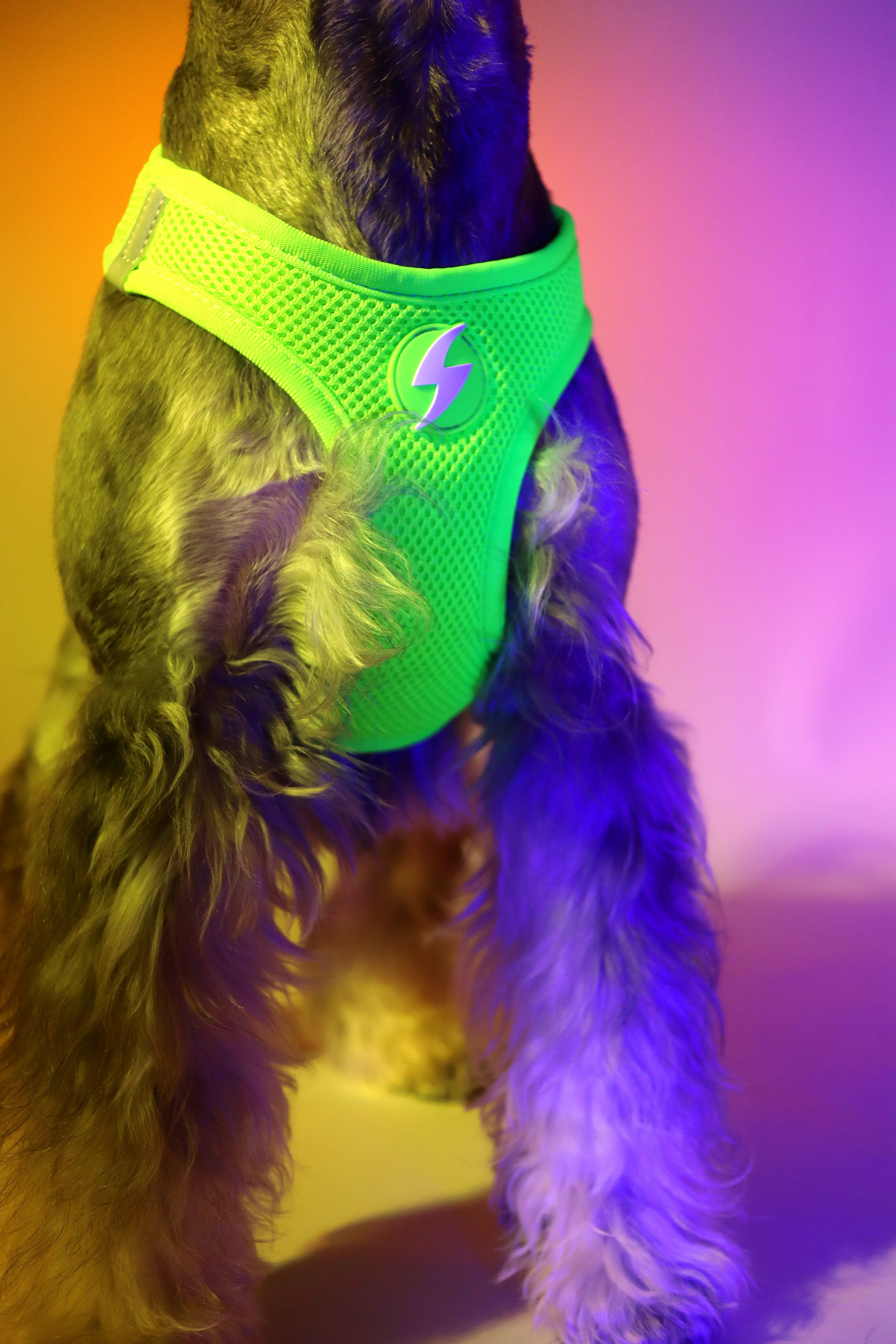 Neon Verde Oxy Mesh, , large Imagen numero 3