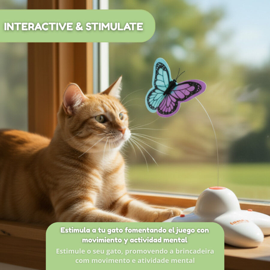 Tootoy! Mariposa Se&ntilde;uelo Interactiva para gatos, , large Imagen numero 7
