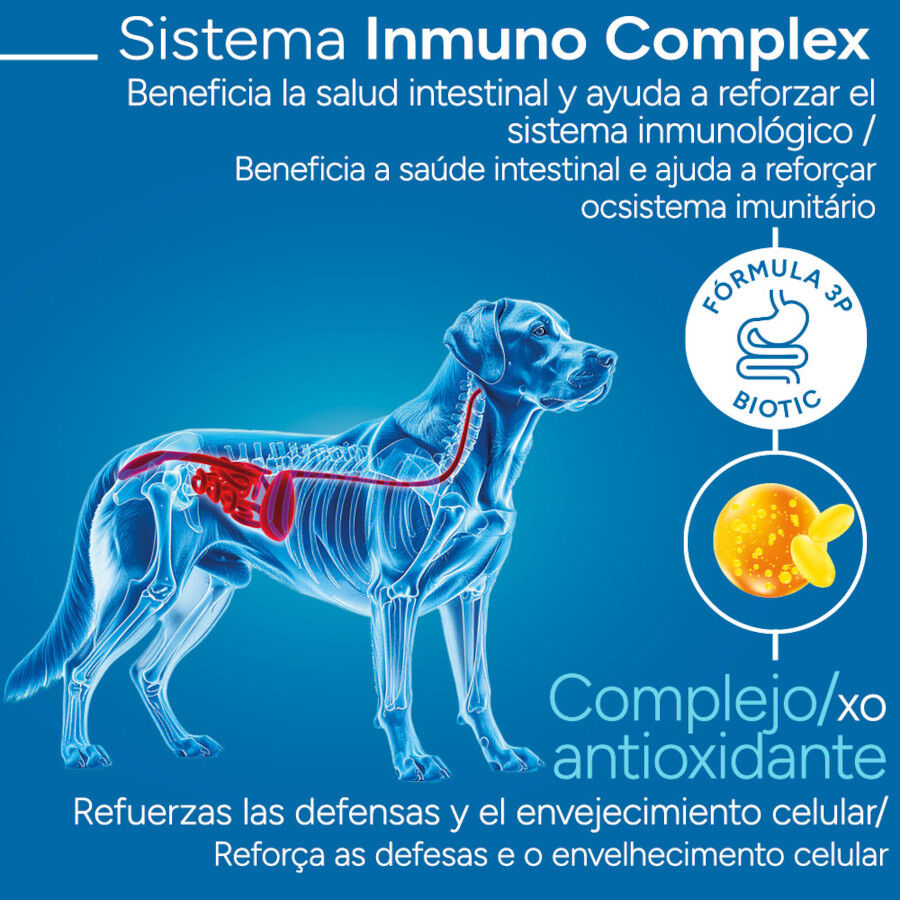 Criadores Cient&iacute;fico Adulto Maxi Pienso Pollo para perros, , large Imagen numero 3