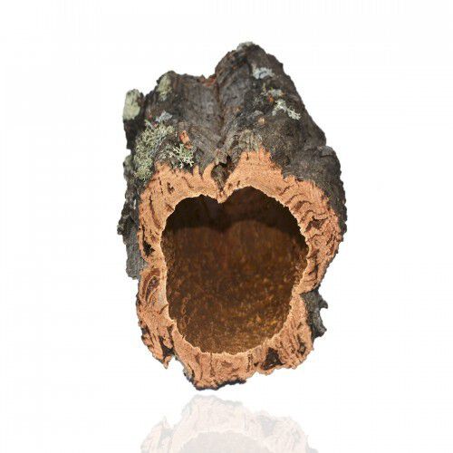 Madriguera corcho por naturaleza para terrario, , large Imagen numero 1