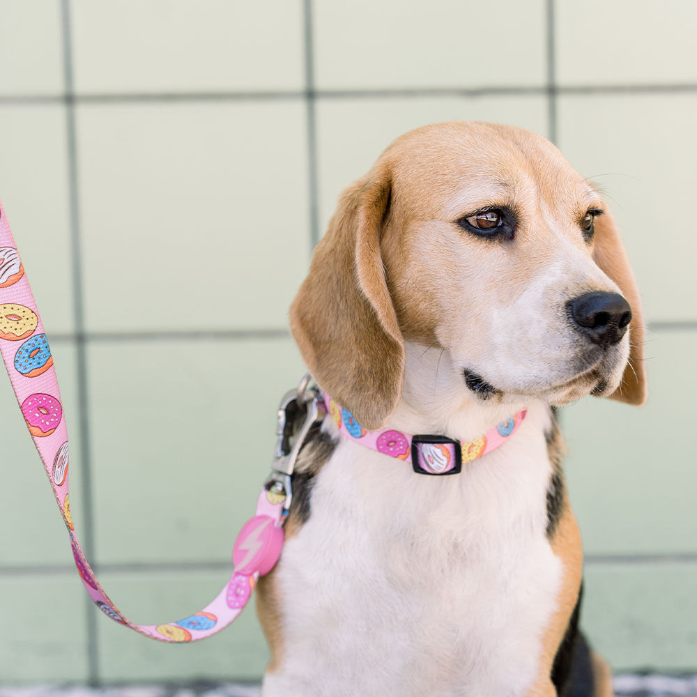 Collar Donut para perros color Varios, , large Imagen numero 3