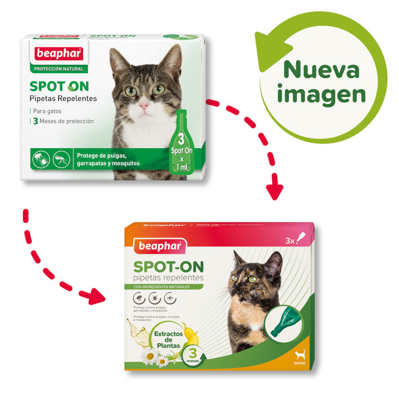 Beaphar Pipetas repelentes para gatos, , large image number null