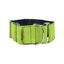 Collar Martingale para perros color Pistacho, , large indicador imagen numero 1