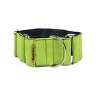 Collar Martingale para perros color Pistacho, , large image number null