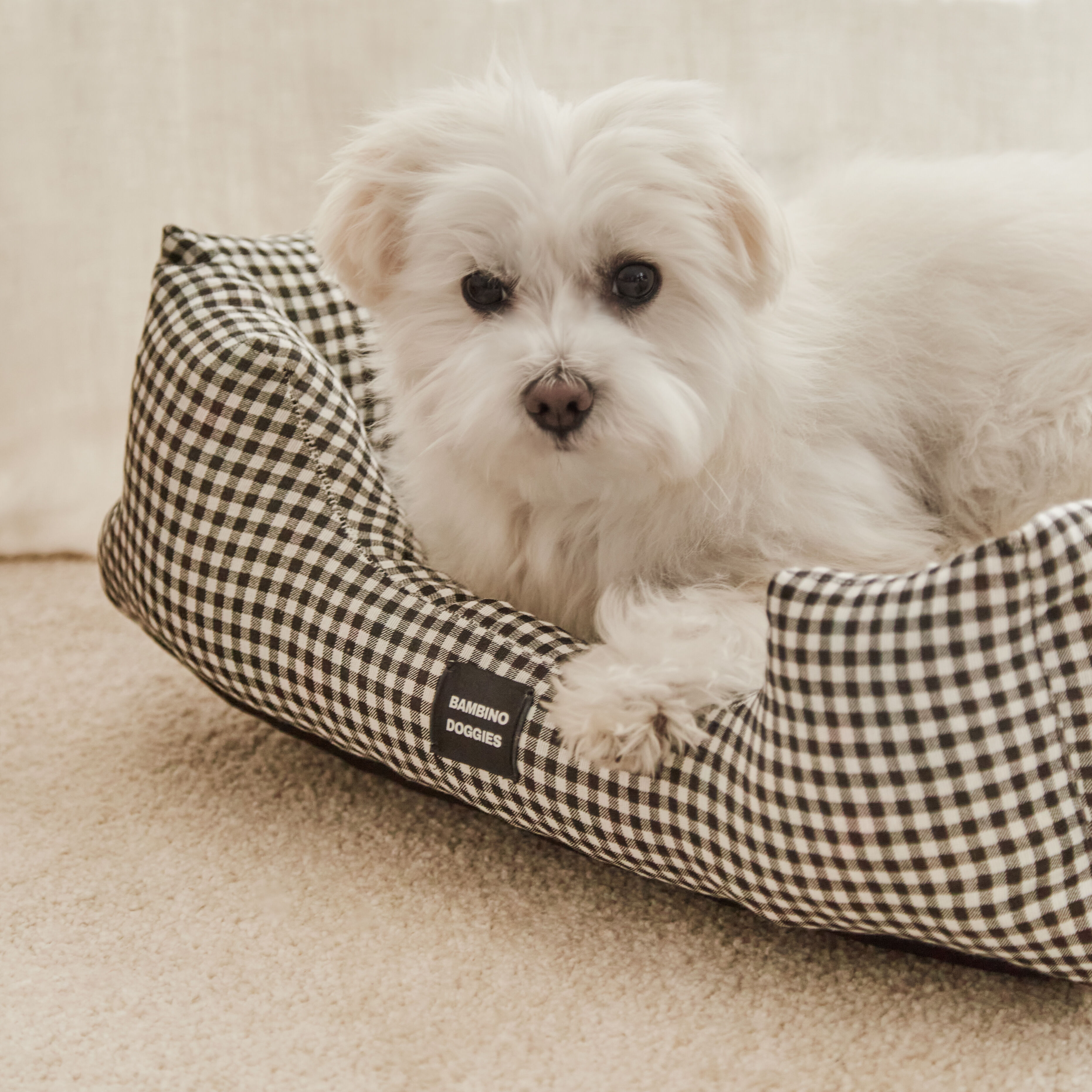 Cama para perros Vichy negro, , large Imagen numero 2