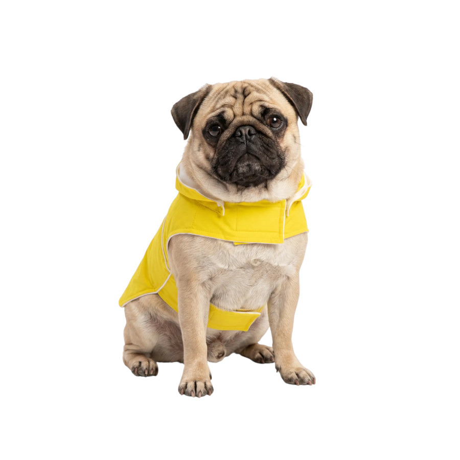 Gotoo Impermeable Reflectante Amarillo para perros, , large Imagen numero 7