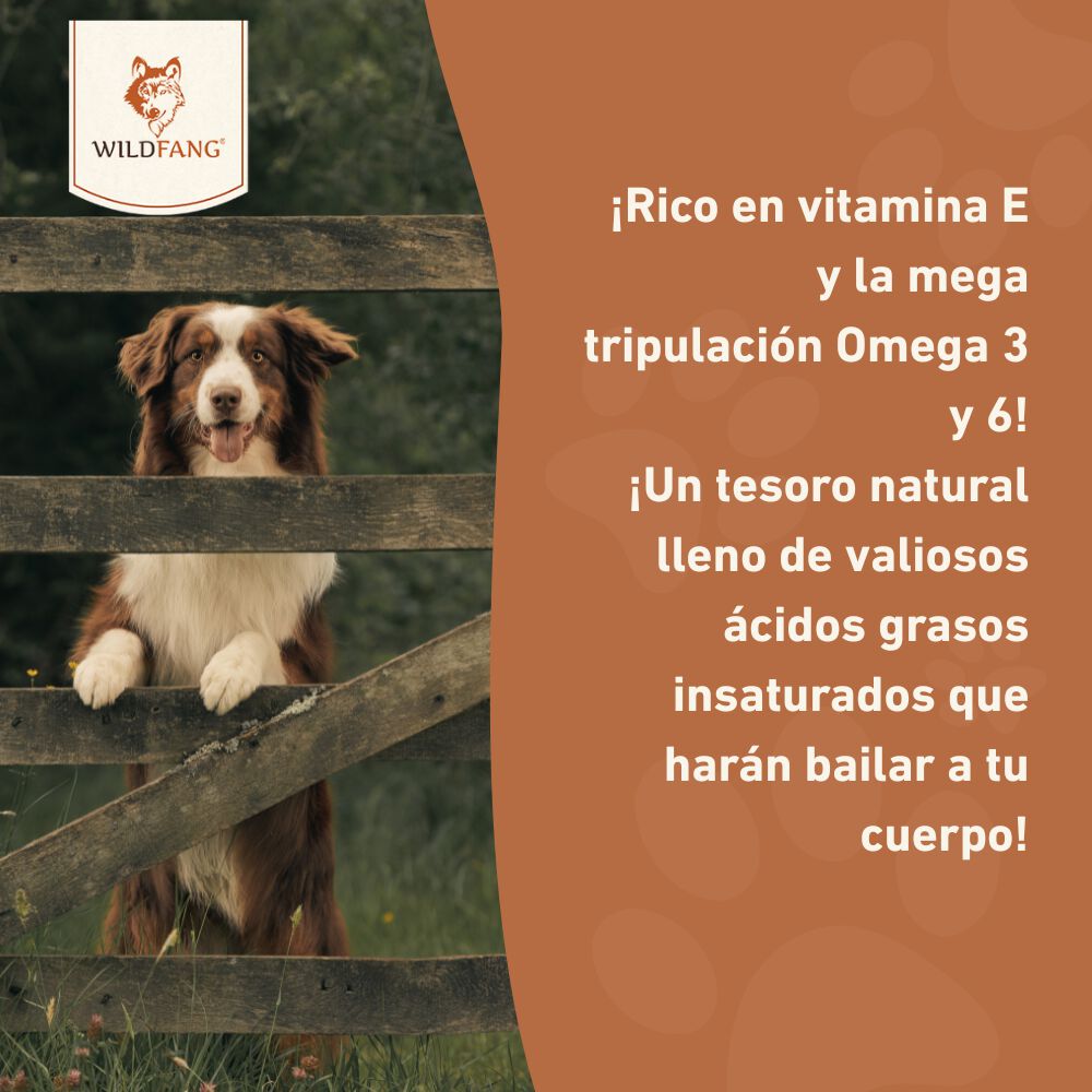 Wildfang - Aceite de salm&oacute;n para perros - aceite de barf - 250 ml, , large Imagen numero 5