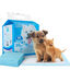 Nobleza - 30 x Empapadores Perros Alfombrilla higiénica de Entrenamiento para Perros. Ultraabsorbente 90cm*60cm., , large indicador imagen numero 16
