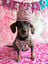 Gorro de cumplea&ntilde;os forma de corona - - Hecha a mano - Estampado de Perro Salchicha Feliz - Rosa, , large indicador imagen numero 4
