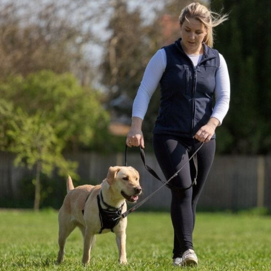Halti correa de adiestramiento negra para perros medianos y pequeños thumbnail