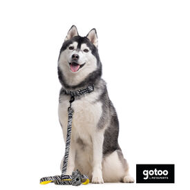 Gotoo Correa estampada zebra para perros