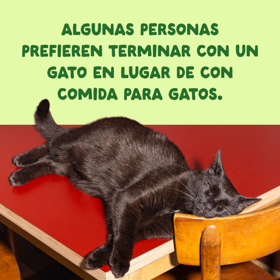 70 g Edgard & Cooper Filetes de Caballa Lata para gatos, , large Imagen numero 9