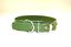 COLLAR DE PIEL VERDE CON  CORAZON, , large indicador imagen numero 2