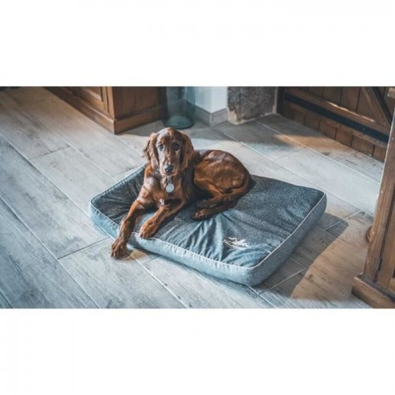 Tyrol colchón rectangular acolchado gris para perros grandes, , large image number null