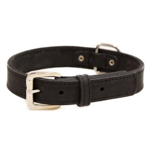 TK-Pet Namur Collar de Cuero Negro para perros, , large Imagen numero 1