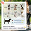 PawHut Carrito para Perros Plegable Cochecito para Mascotas Carrito para Perros Pequeños con Toldo Ajustable Cesta de Almacenaje Ventanas de Malla Portavasos y 2 Ruedas 75x45x97 cm Azul Oscuro, , large indicador imagen numero 4