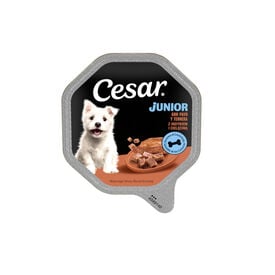 Cesar Pavo y Ternera Tarrina en Gelatina para Cachorros