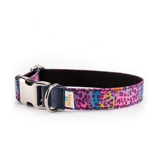 Pamppy funny collar leopardo rosa para perros
