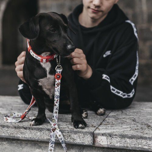 Correa Viajero para perros color Rojo, , large Imagen numero 2