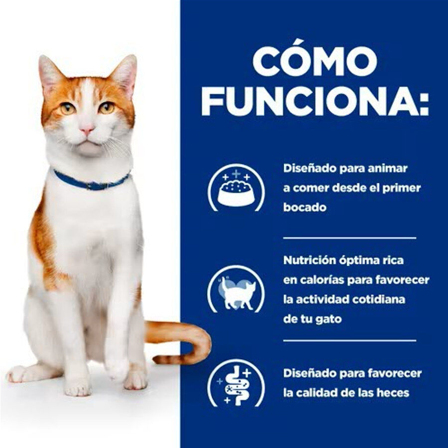 Hill&#039;s Prescription Diet ON-Care Pollo pienso para gatos thumbnail