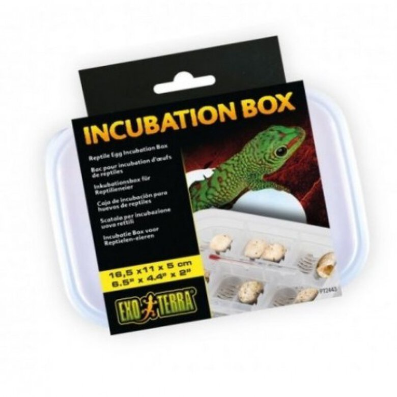 Caja de incubación de reptildes, , large image number null