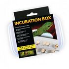 Caja de incubación de reptildes, , large image number null